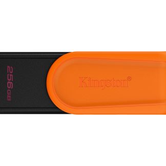 Memorias USB Kingston Technology DTXS/256GB